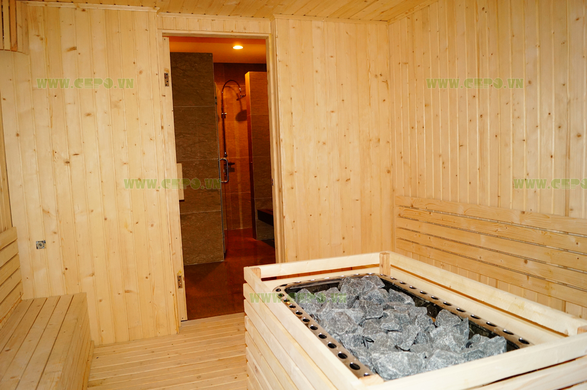 CEPO supply and install Steam and Dry Sauna